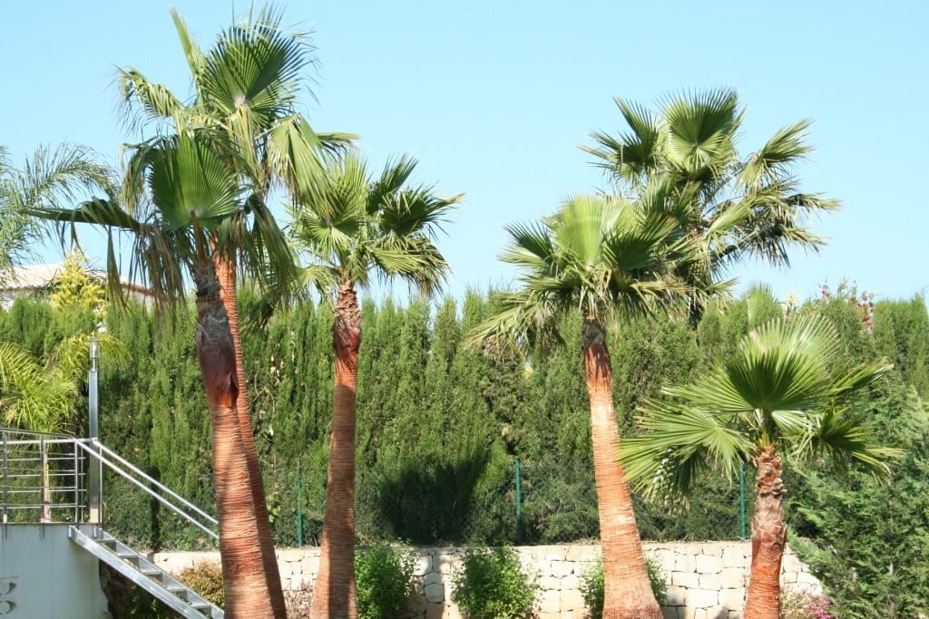 Property #RH20943 - Foto 20