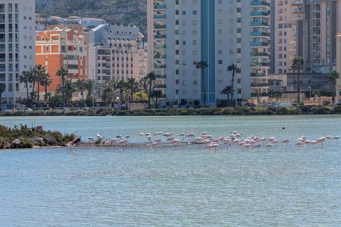 Property #RH21400 - Foto 27