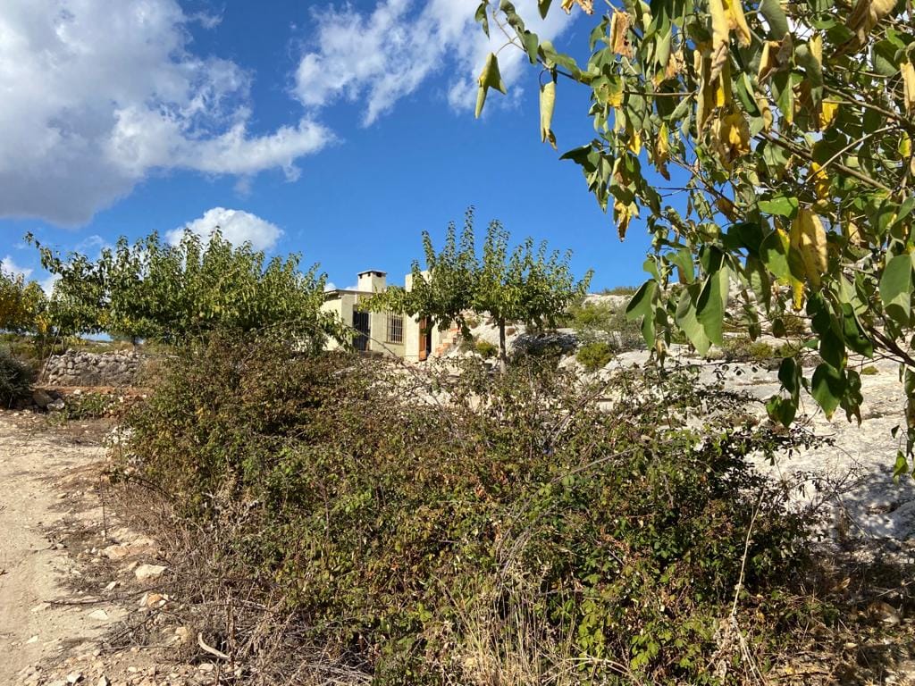 Land/Hunting Ground for Sale in Bocairente - Foto 19