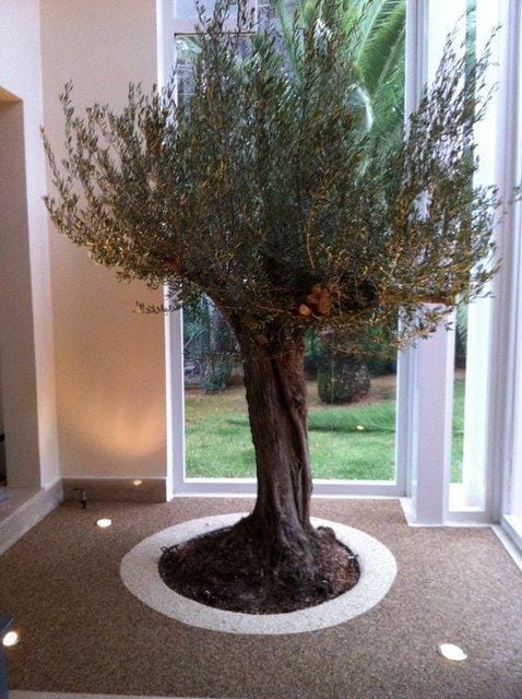 Luxury chalet for sale in La Sella golf - Foto 9