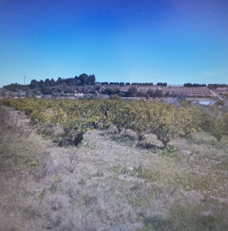 Finca for sale in the province of Valencia - Foto 2