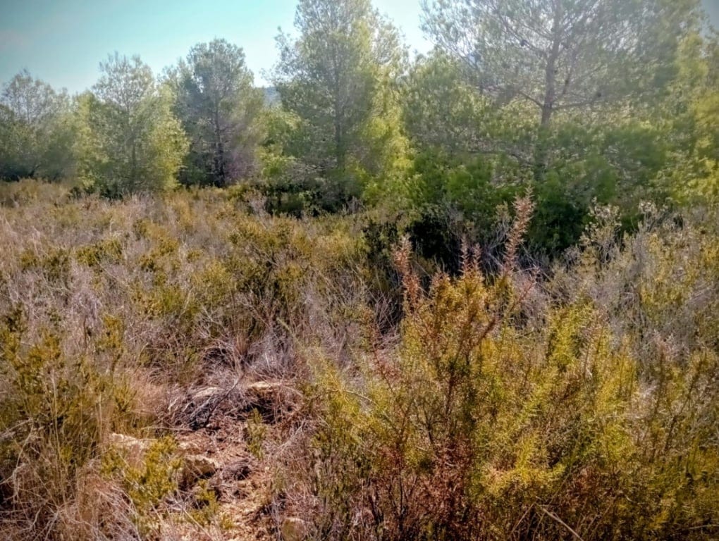 Large rustic land for sale in Benitachell. - Foto 10