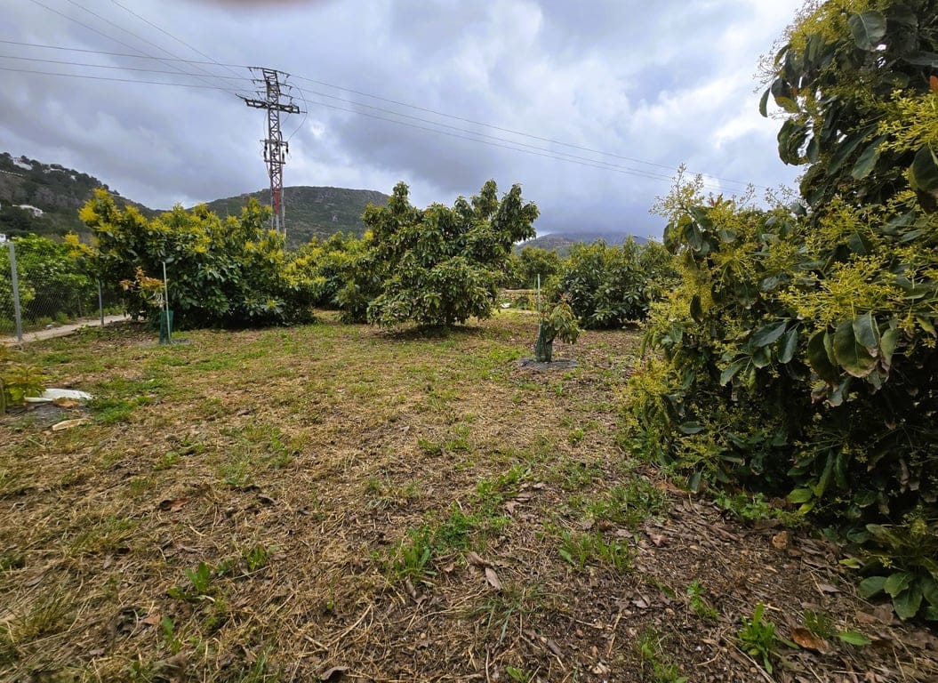 Property #RH20383 - Foto 3