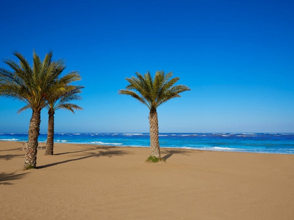 New build apartment in Les Marines, Dénia - Foto 14