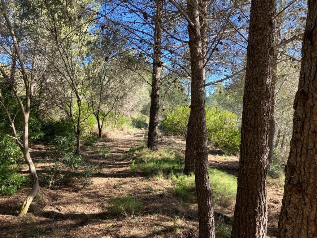 Country house in Pedreguer - Foto 12