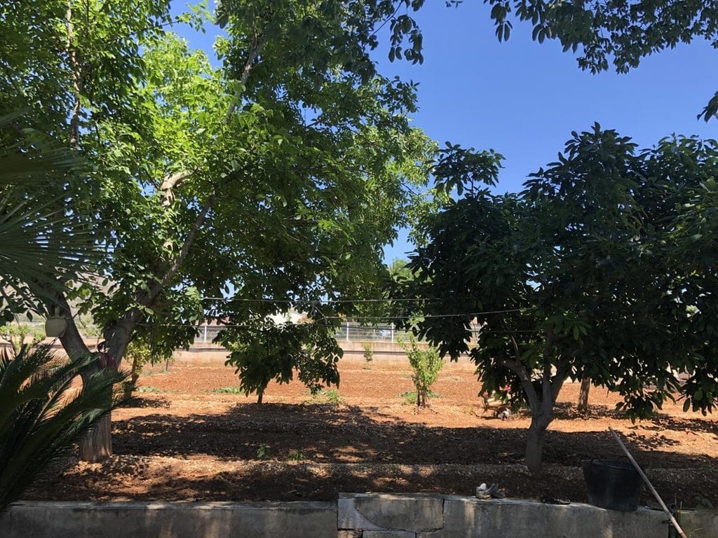 Ondara. Spacious cottage with swimming pool for sale - Foto 18