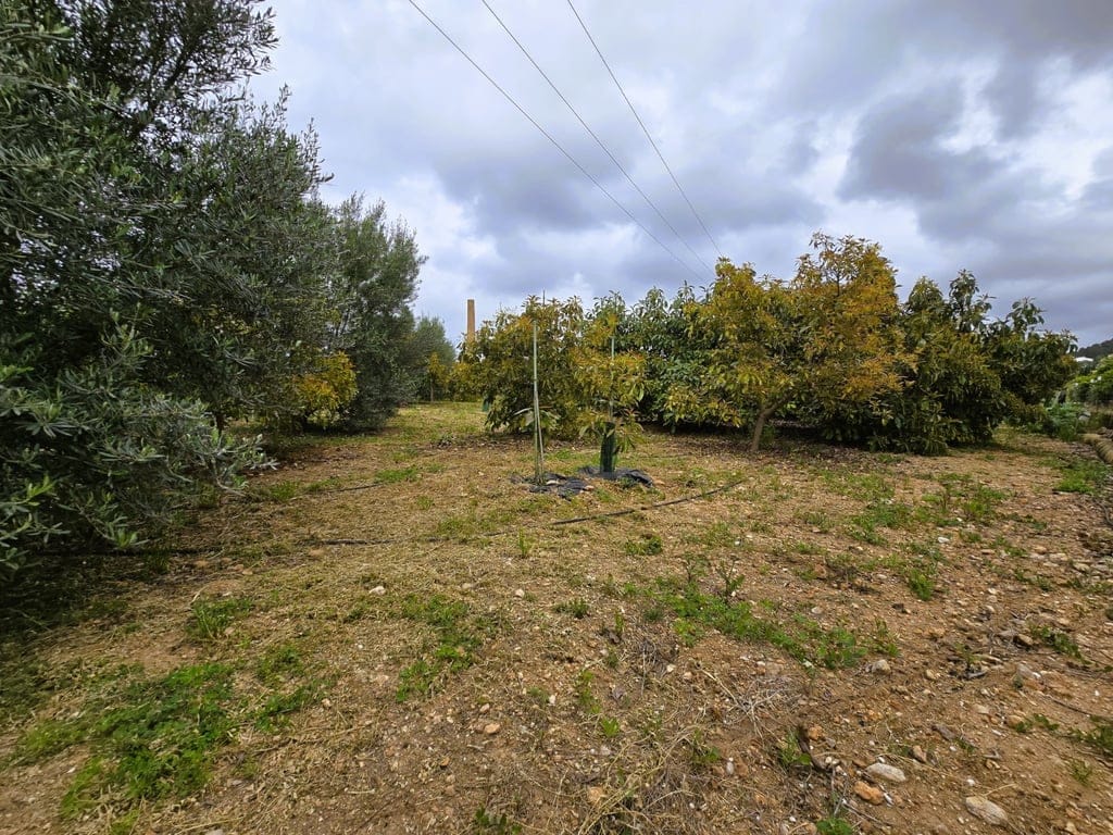 Property #RH20383 - Foto 4