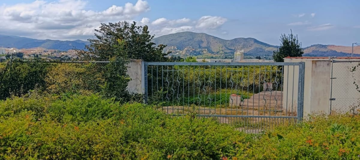 Baugrundstück in Pego, geeignet für den Bau mit Strom- und Wasseranschluss. - Foto 5