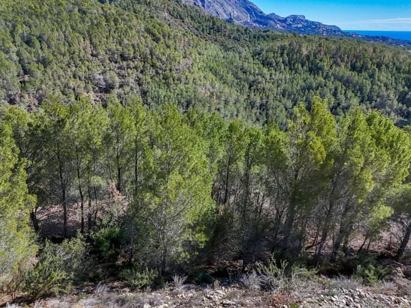 Parcela en venta en Callosa d'en Sarrià - Foto 7