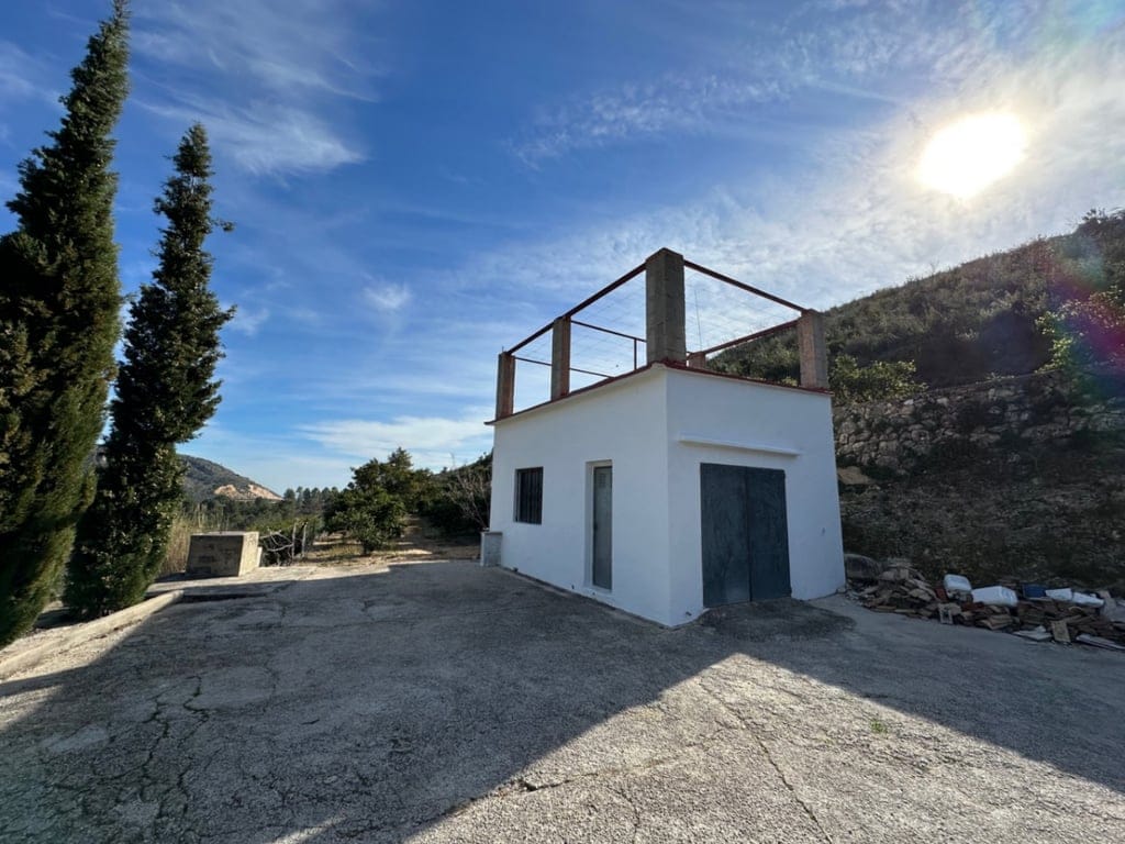 Große Orangenplantage mit Meerblick und Möglichkeit zur Errichtung eines Wohnhauses - Foto 7