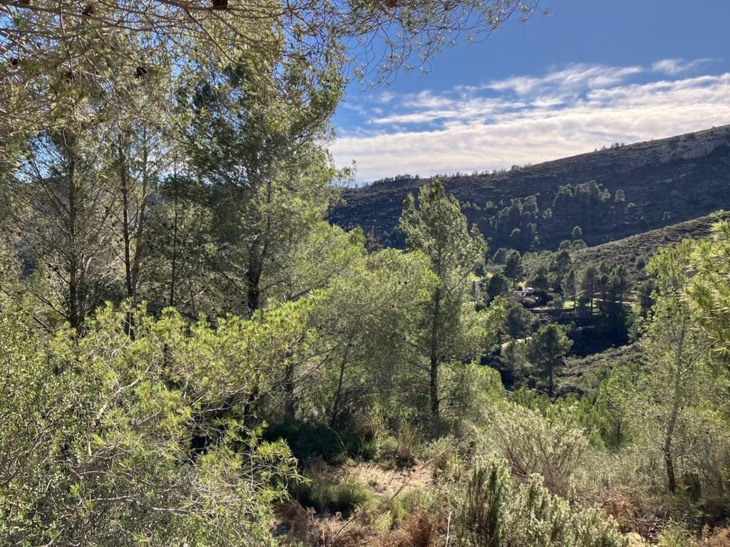 Country house in Pedreguer - Foto 13