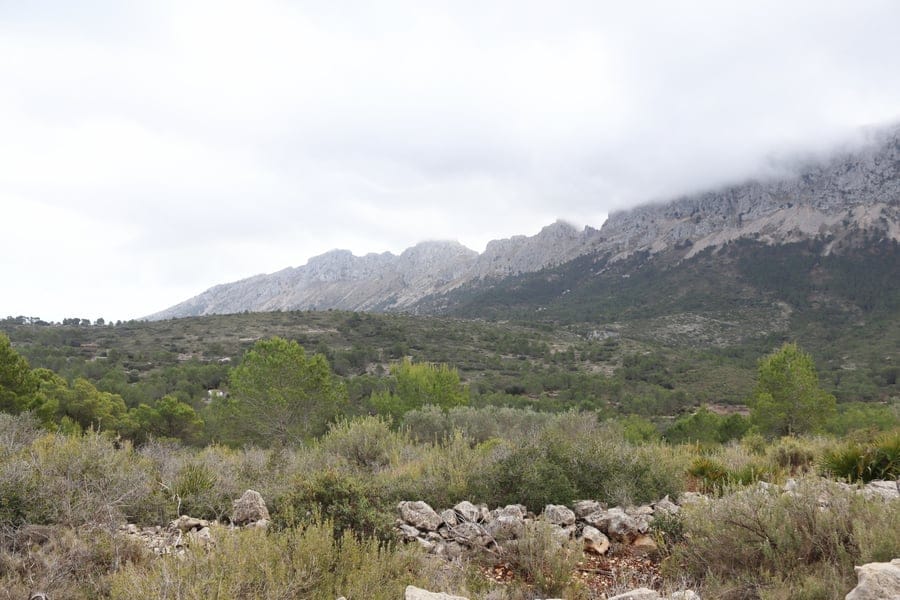 Property #RH20892 - Foto 15