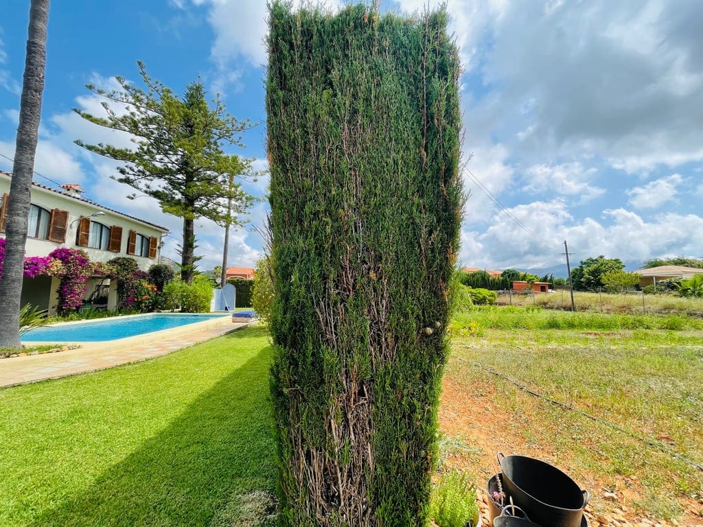 Pedreguer. Spacious country house with pool for sale - Foto 60