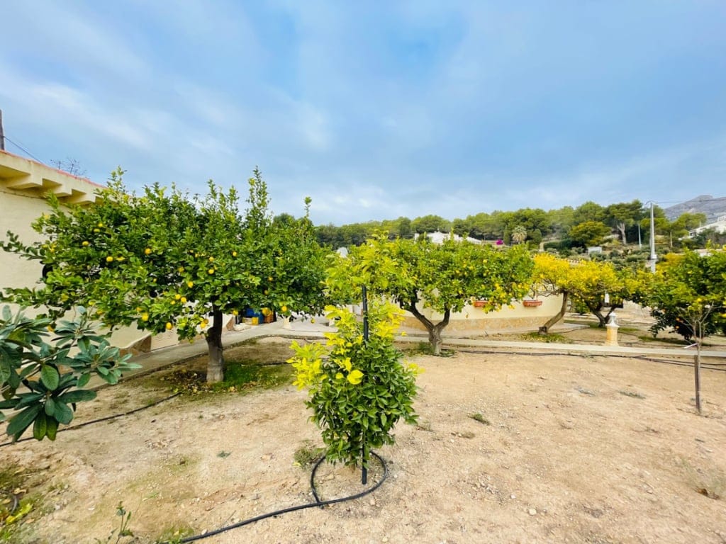 Altea La Vella. Large country house with guest house for sale - Foto 61