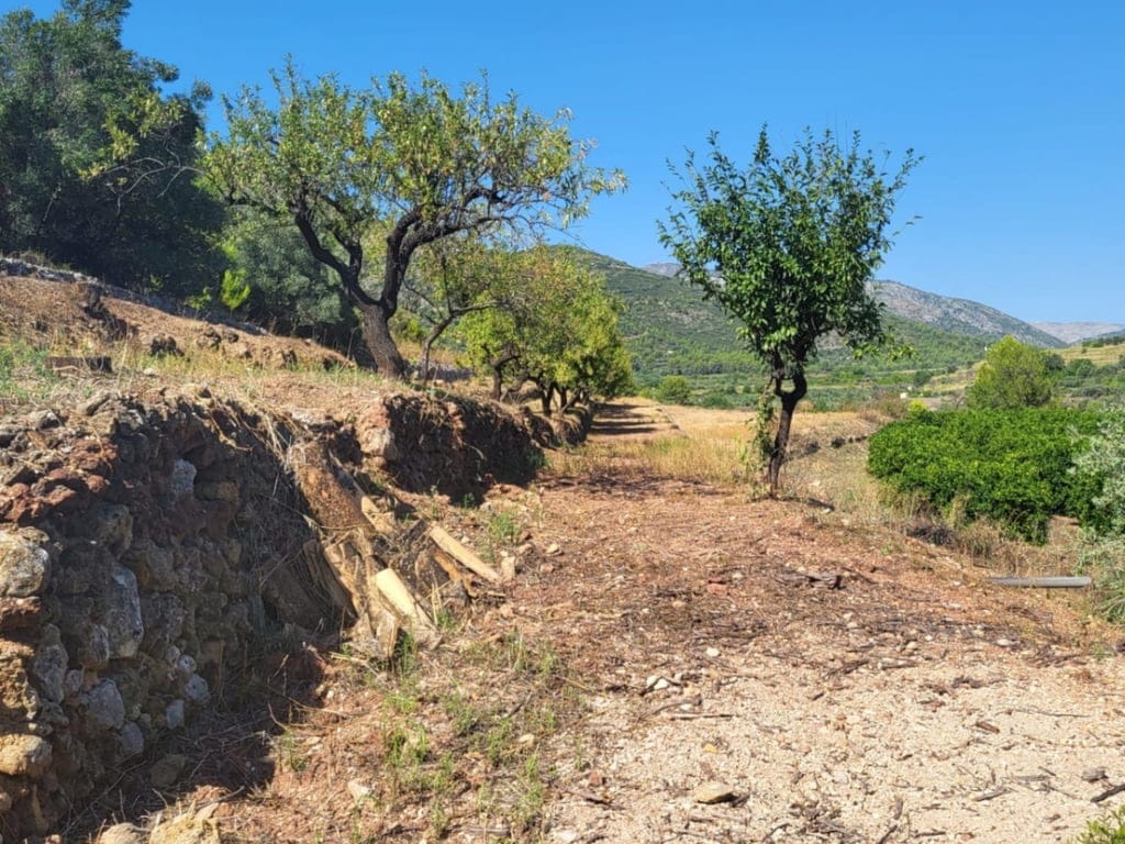 Attractive 15,000m2 plot for sale with electricity and natural water well. - Foto 6