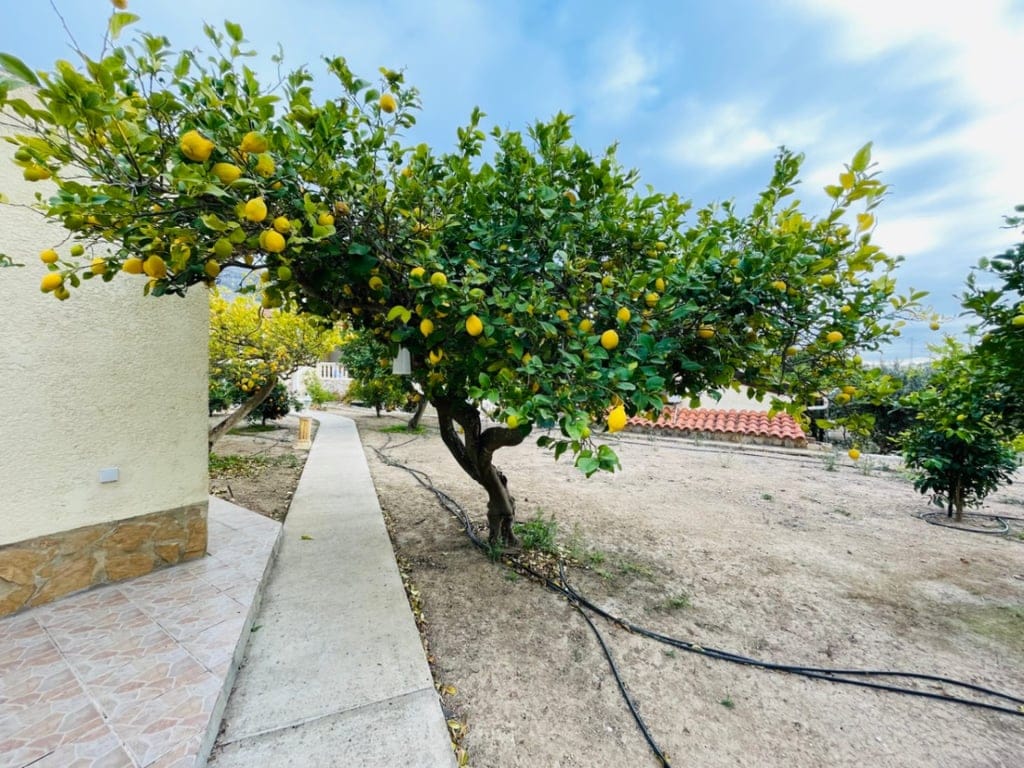 Altea La Vella. Large country house with guest house for sale - Foto 46