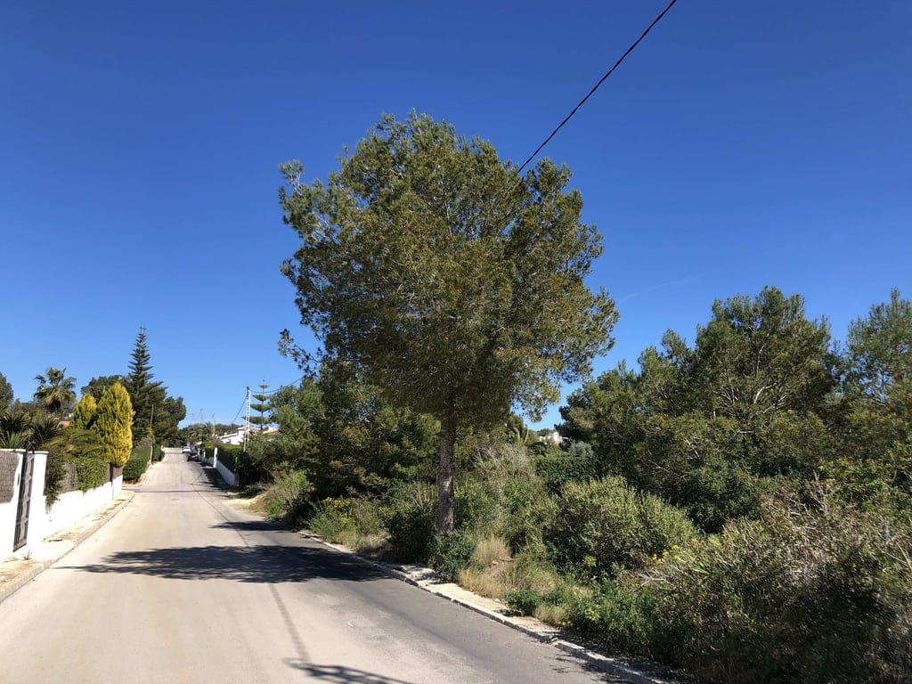 2 building plots Costa Nova - Foto 5