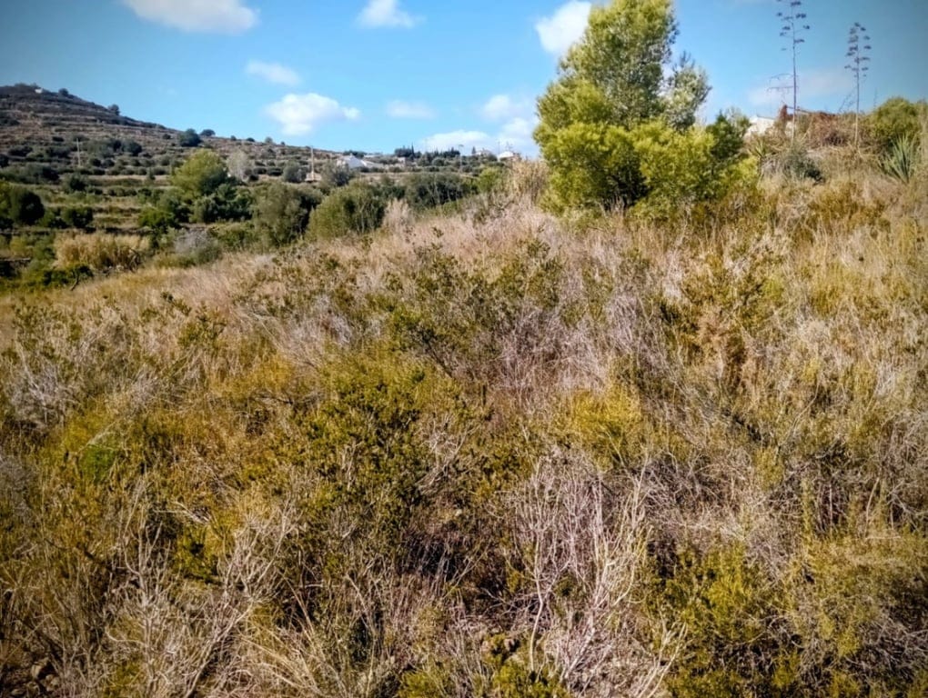 Large rustic land for sale in Benitachell. - Foto 7
