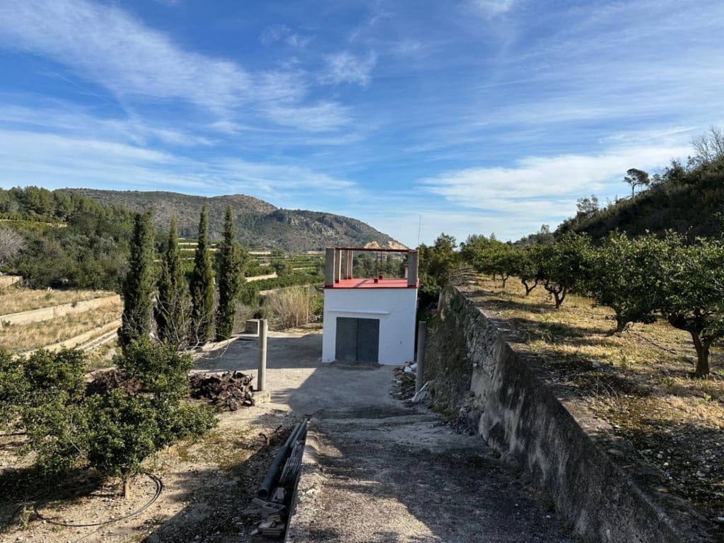 Große Orangenplantage mit Meerblick und Möglichkeit zur Errichtung eines Wohnhauses - Foto 2