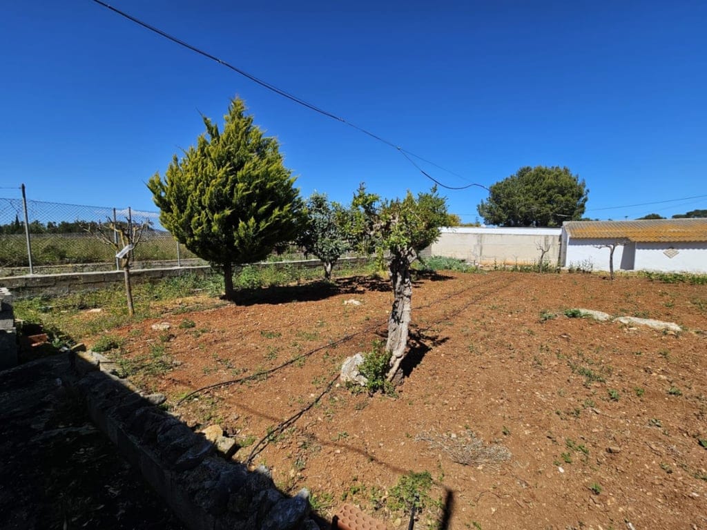 Landhuis in Denia/ La Xara - Een privé-oase met uitzicht op de Montgó en een uitzonderlijk potentieel - Foto 43