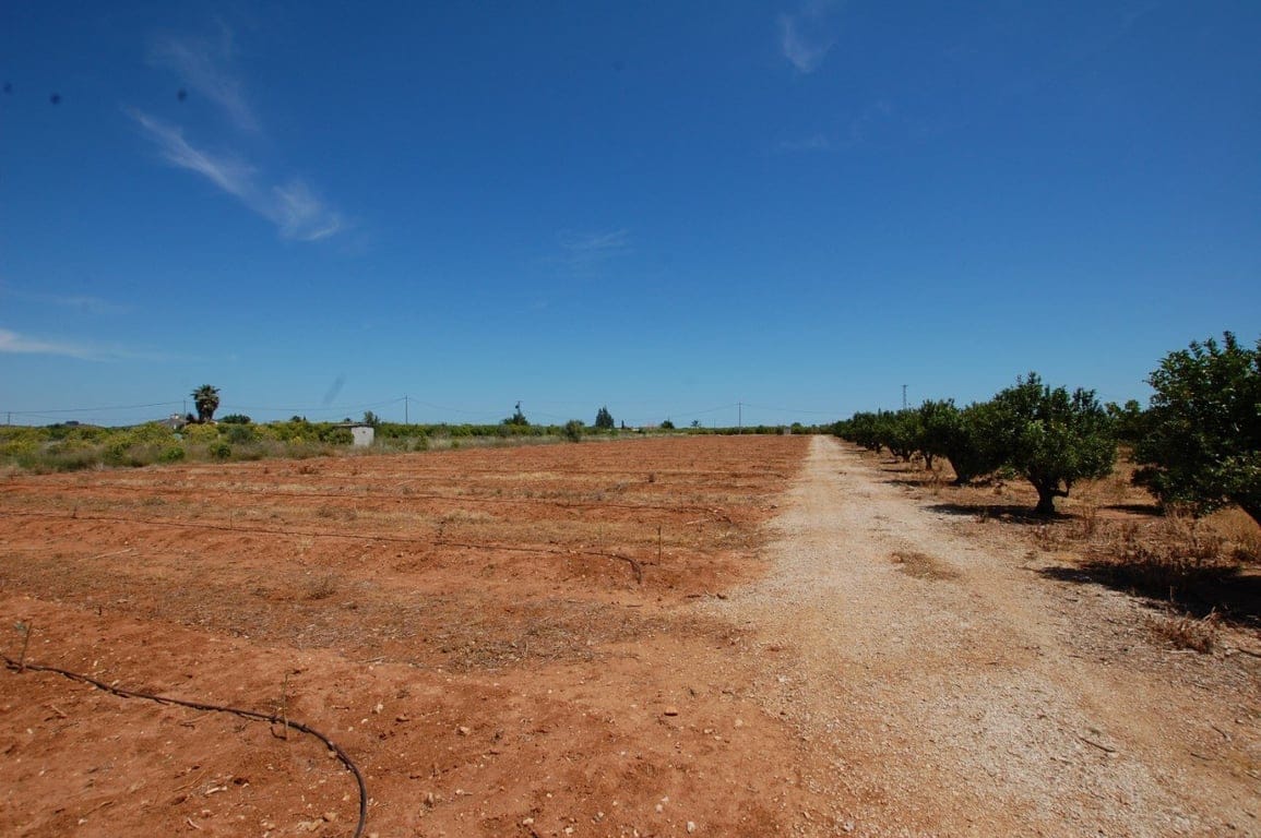 22.000 Quadratmeter großes rustikales Grundstück in Pego - Foto 8