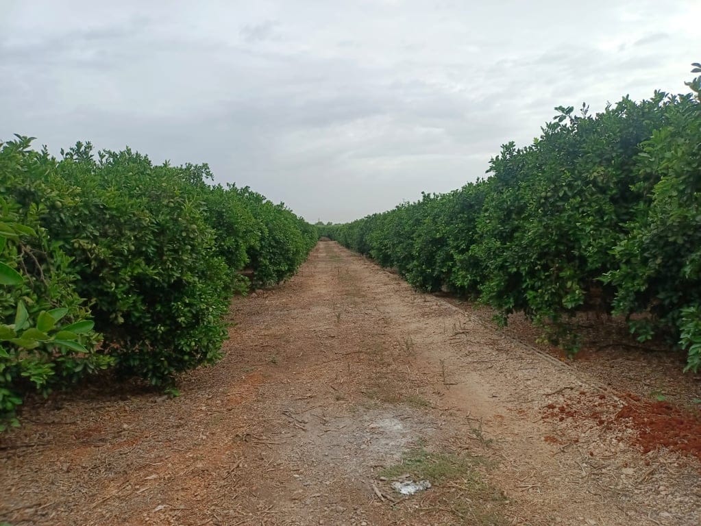 Property #RH20350 - Foto 3