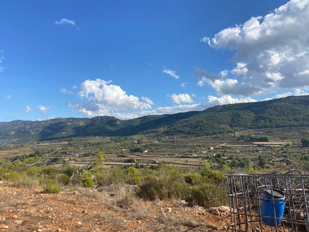 Land/Hunting Ground for Sale in Bocairente - Foto 15
