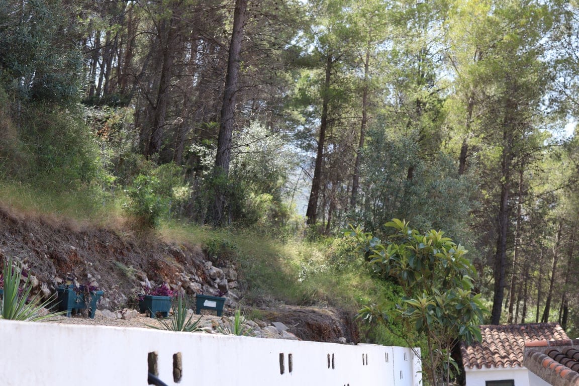 Property #RH20898 - Foto 44