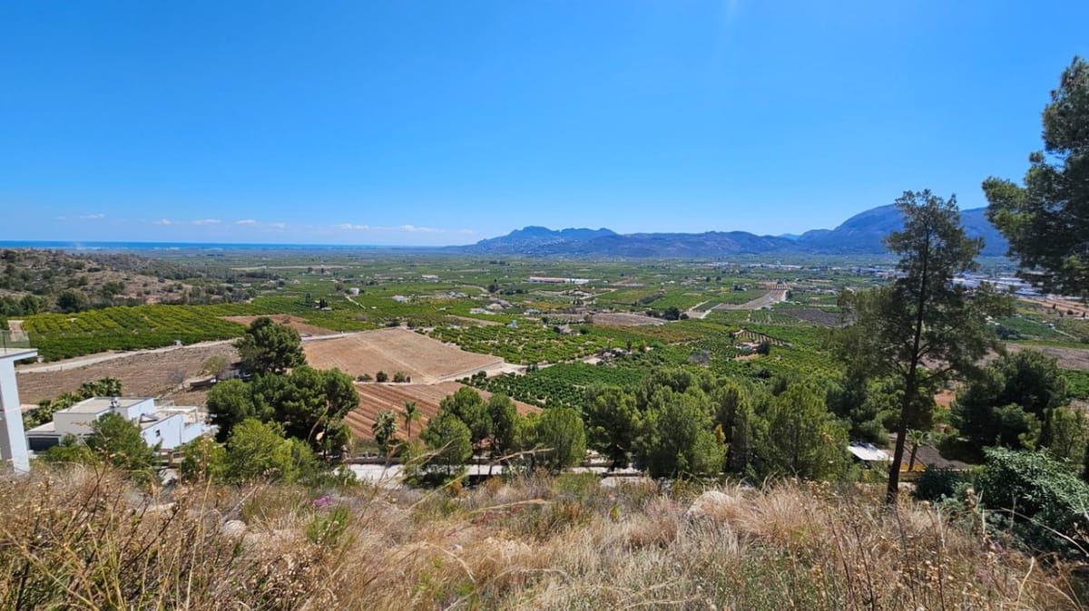 Plot in Monte Mostalla