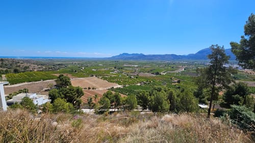 Plot in Monte Mostalla