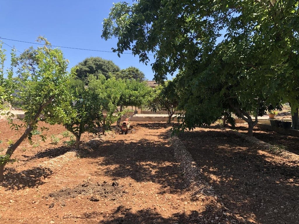 Ondara. Spacious cottage with swimming pool for sale - Foto 15