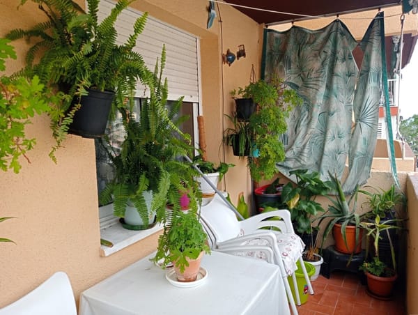 Apartamento en venta en Benidorm - Foto 3