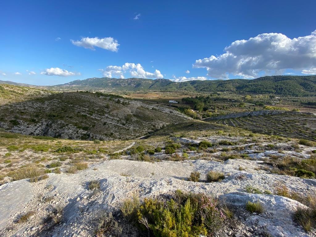 Land/Hunting Ground for Sale in Bocairente - Foto 9