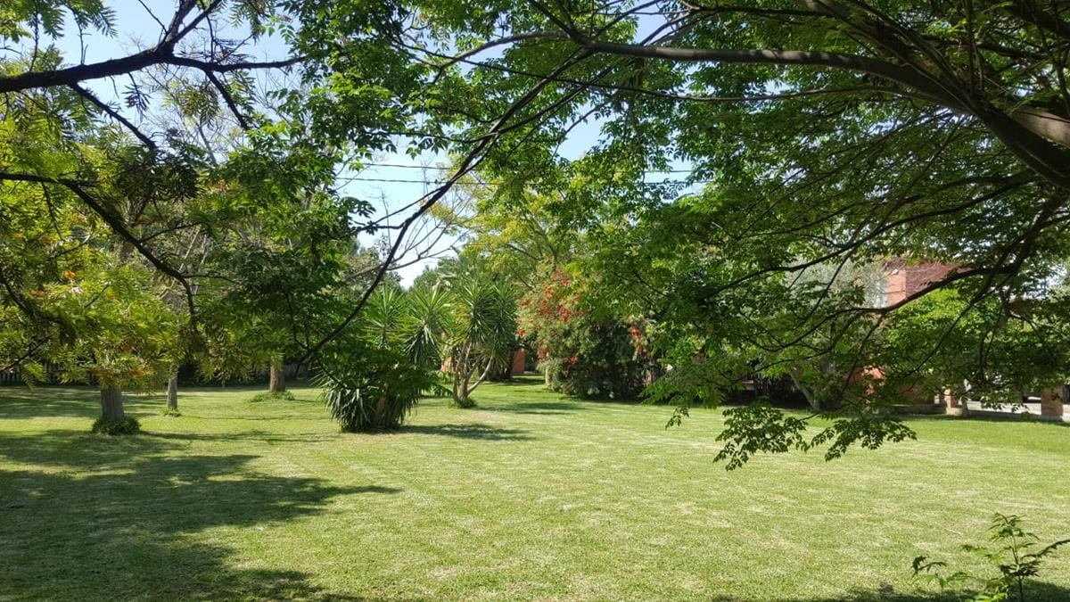 Ondara. Spacious finca for sale - Foto 8