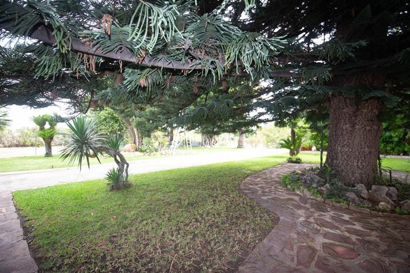 Sale of Urban Plot and Chalet - Foto 5