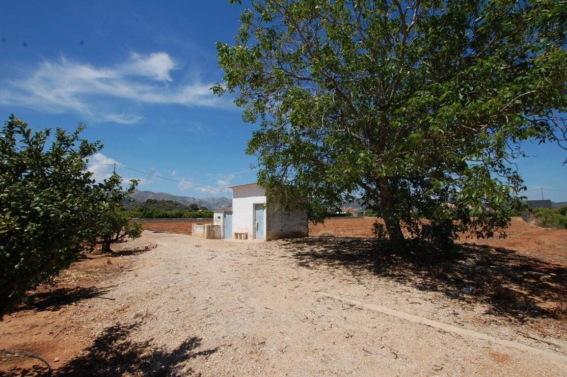22.000 Quadratmeter großes rustikales Grundstück in Pego - Foto 7