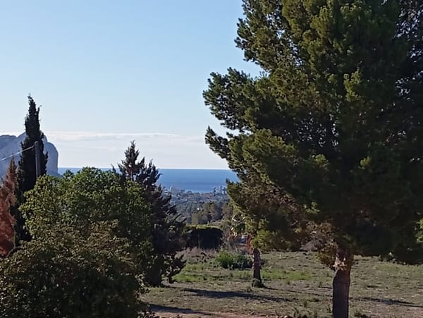 Se vende  finca antigua en Benissa - Foto 2