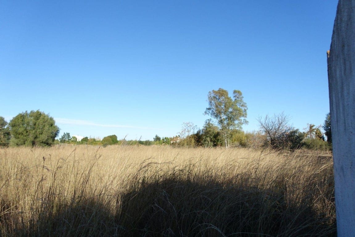 Plot in Els Poblets - Foto 2