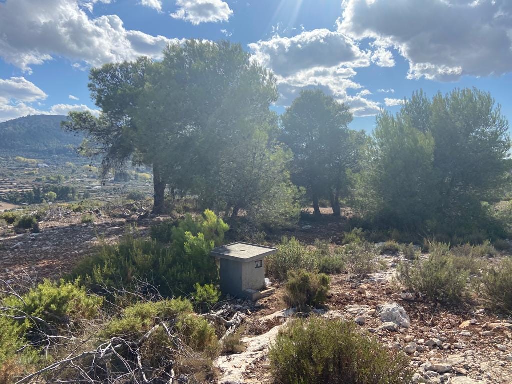 Land/Hunting Ground for Sale in Bocairente - Foto 16