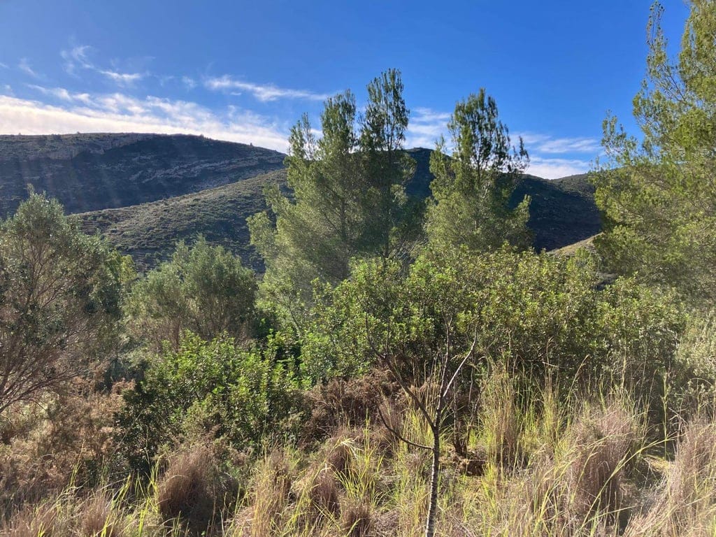 Country house in Pedreguer - Foto 9