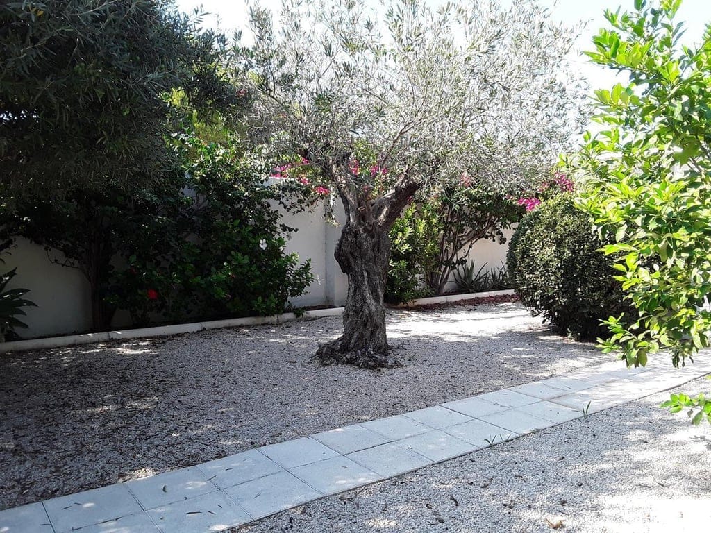 Beachfront villa/townhouse in Denia - Foto 38