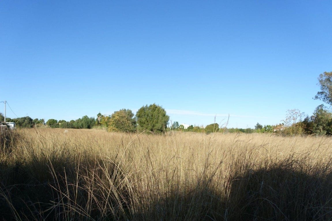 Plot in Els Poblets - Foto 3