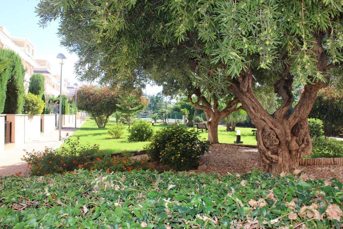 Property #RH21236 - Foto 19