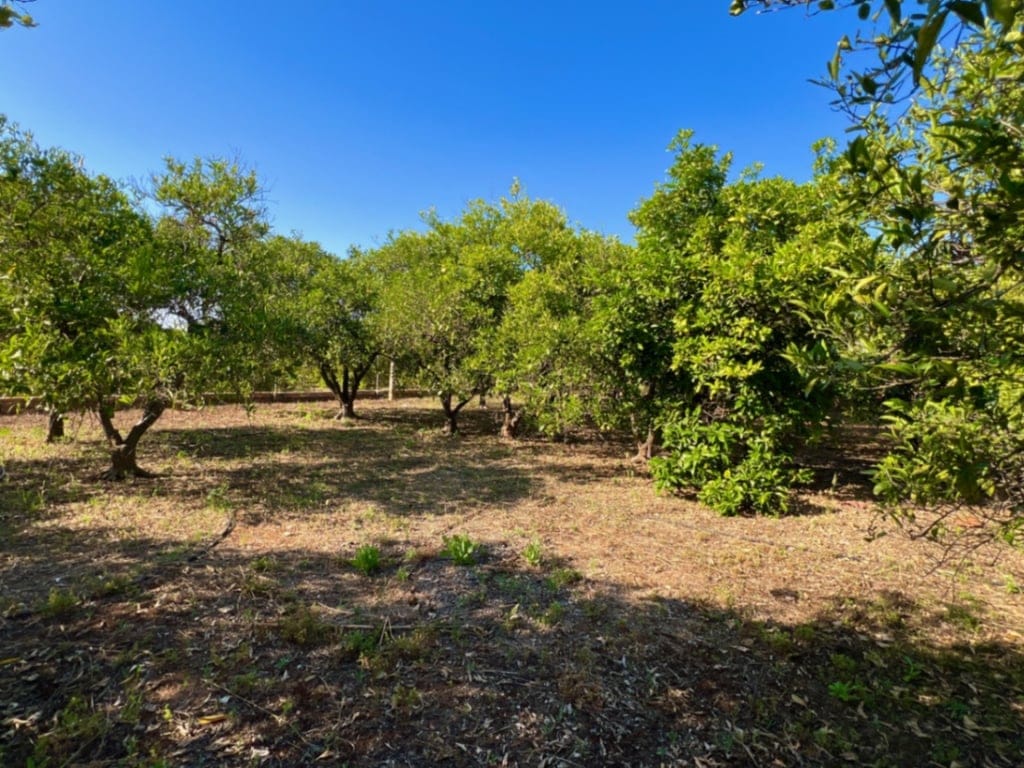 4-bedroom country house in Pedreguer - Foto 7