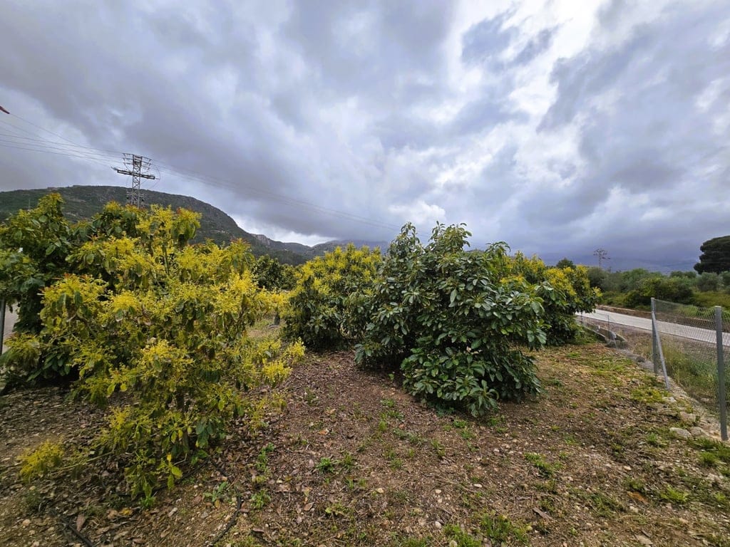 Property #RH20383 - Foto 5