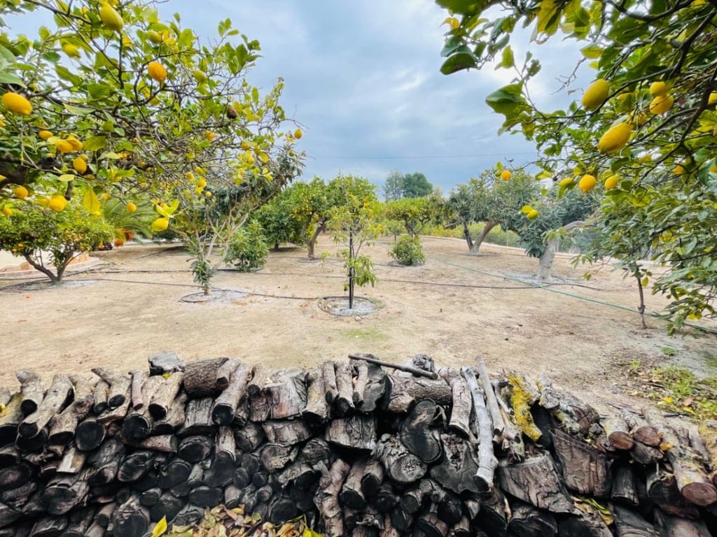 Altea La Vella. Large country house with guest house for sale - Foto 35