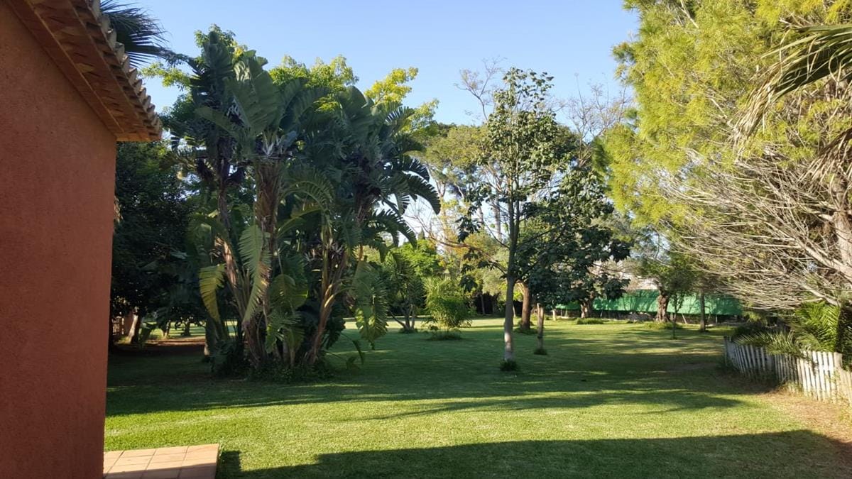 Ondara. Spacious finca for sale - Foto 12