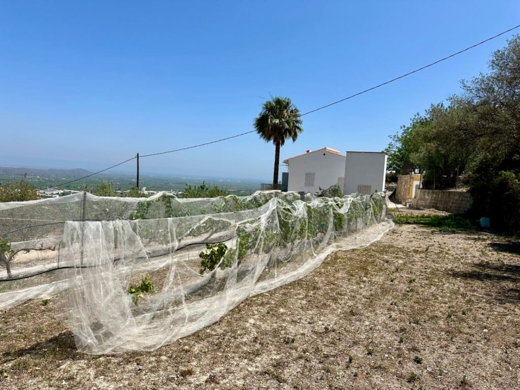 Rustic finca with good views in Pego - Foto 11