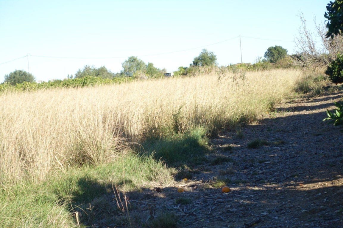 Plot in Els Verger - Foto 3