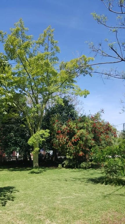 Ondara. Spacious finca for sale - Foto 14